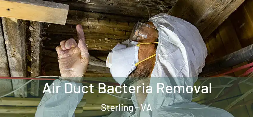 Air Duct Bacteria Removal Sterling - VA