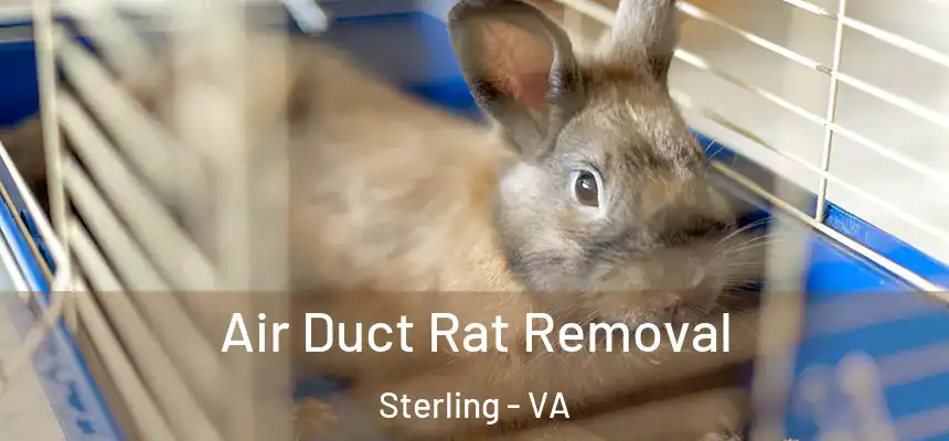  Air Duct Rat Removal Sterling - VA