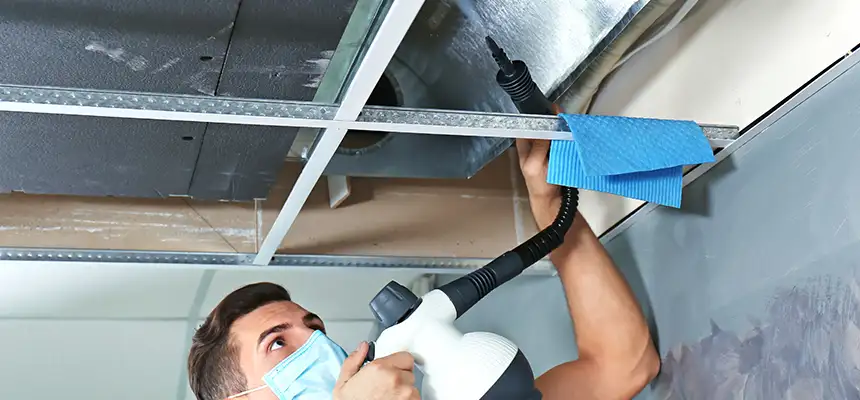 Our Air Duct Rodent Removal Services in Sterling, VA