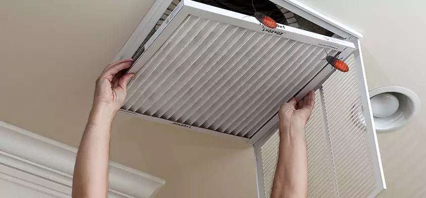 Our Insect Removal from Air Ducts Services in Sterling, VA