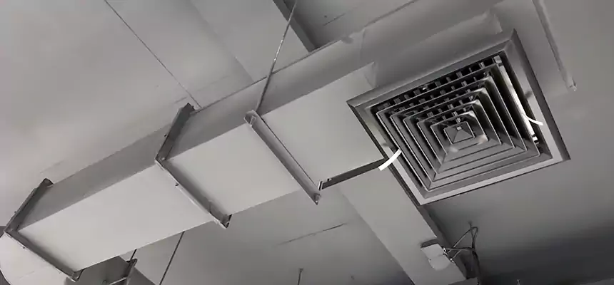 Our Pest Removal From Ducts Services in Sterling, VA