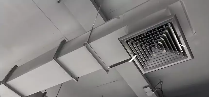 Our Rodent Droppings In Vents Services in Sterling, VA