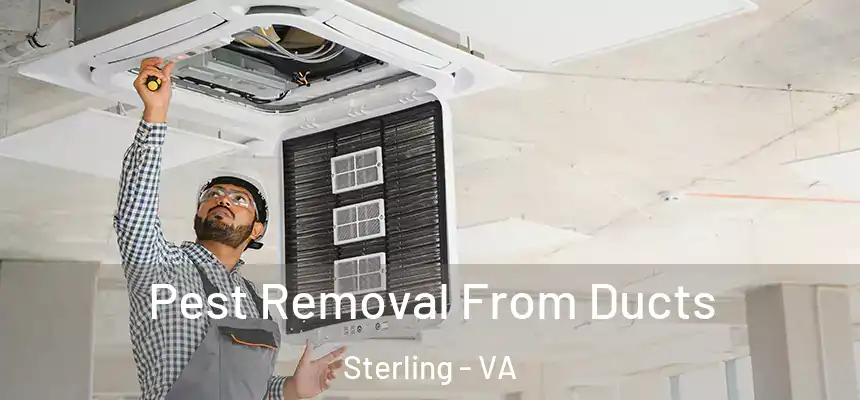 Pest Removal From Ducts Sterling - VA
