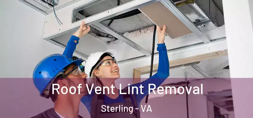  Roof Vent Lint Removal Sterling - VA