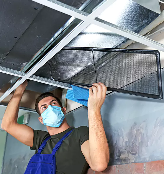 About Air Duct Bacteria Removal in Sterling