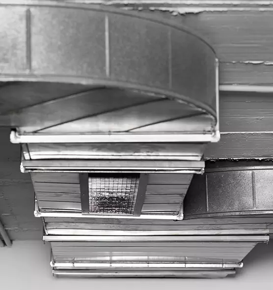 Professional Air Duct Pest Removal in Sterling, VA