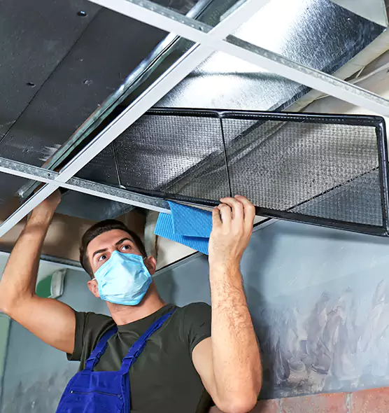 Professional Air Duct Pollen Cleaning in Sterling, VA