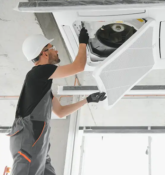 About Air Duct Rodent Removal in Sterling, VA