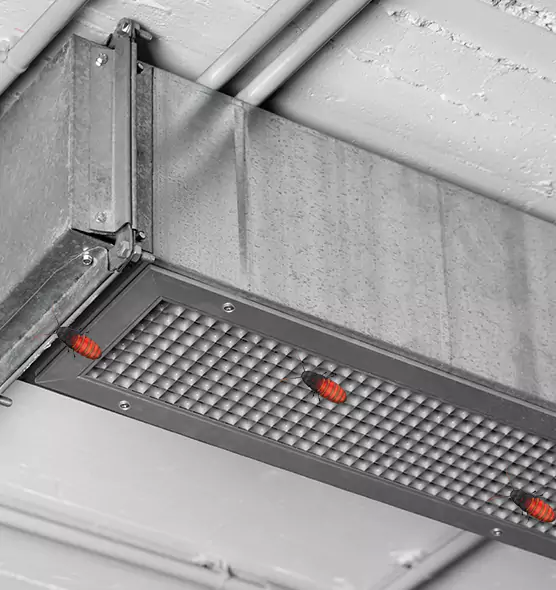 Affordable Insect Removal from Air Ducts in Sterling, VA