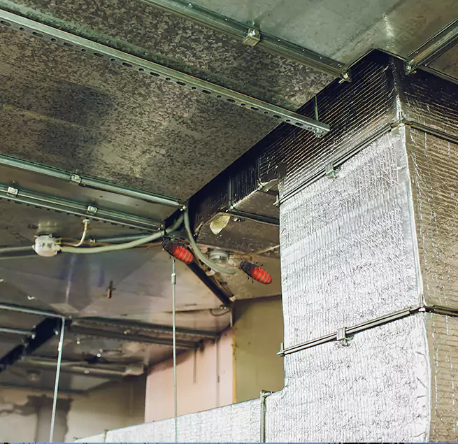 Why Homeowners & Businesses Trust Us in Sterling, VA?