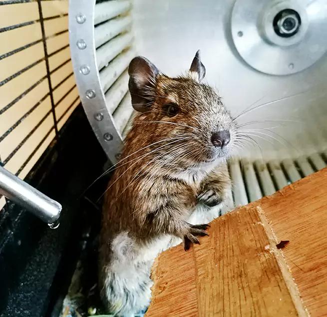 Why Homeowners & Businesses Trust Us Sterling, VA?